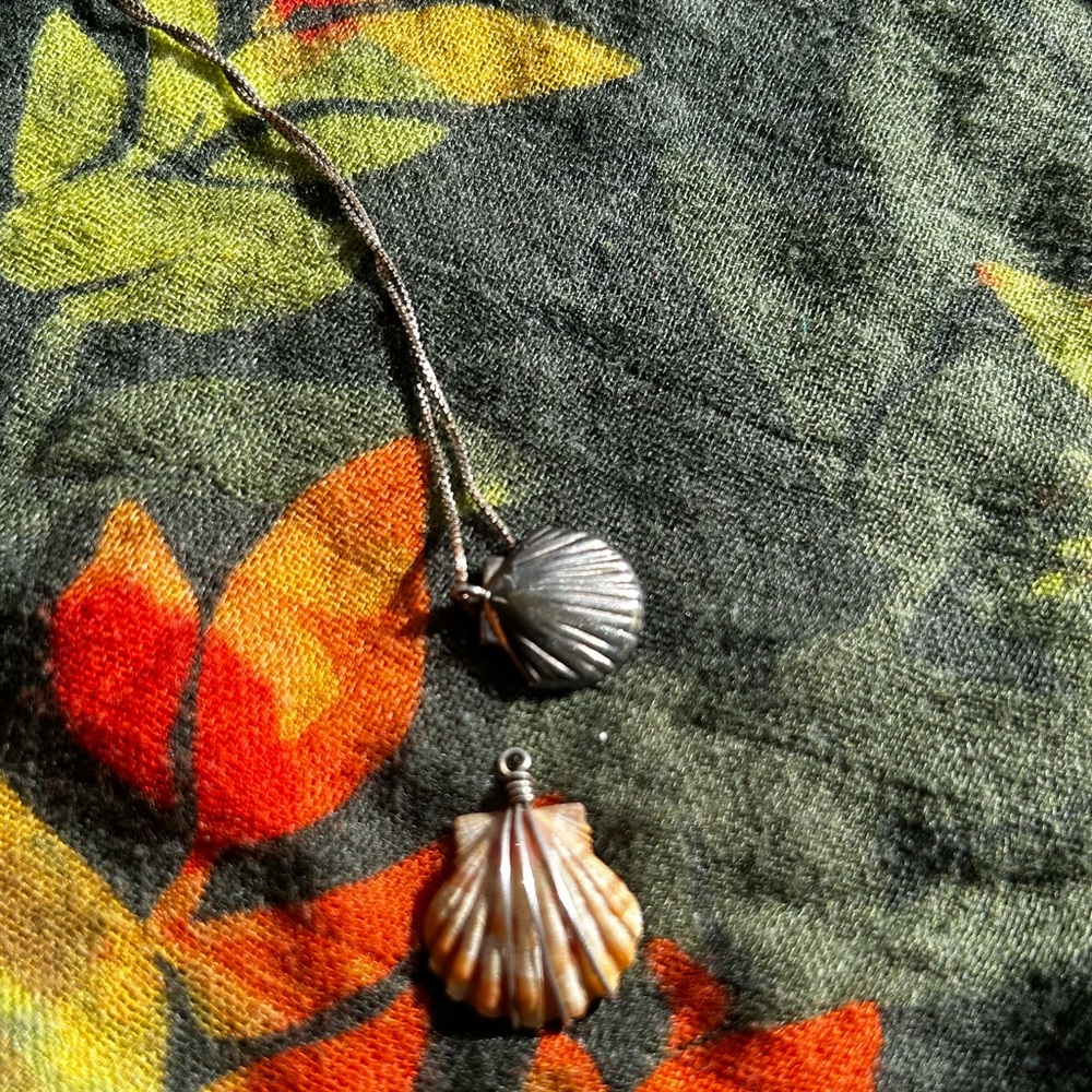 Sunrise shell 🐚 Shell Pendant and silver shell Necklace